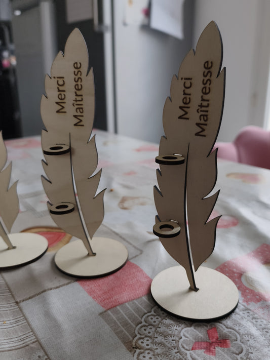 Plumes Merci maitresse